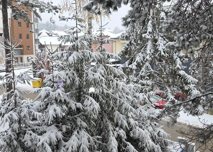 Aurora Lux 16 * Zlatibor